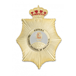 placa CNI